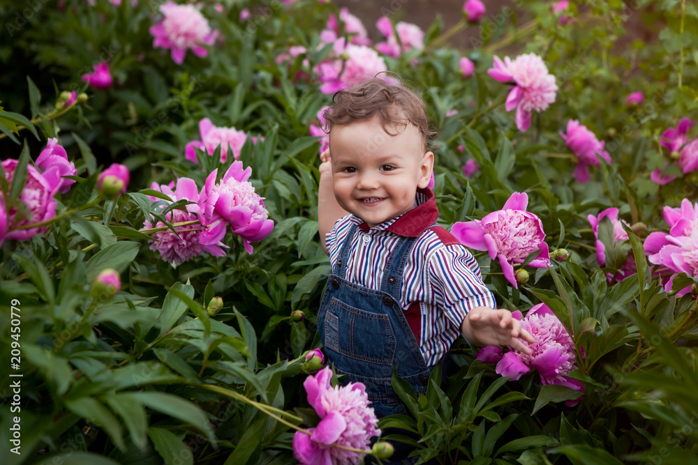 kid in the garden in pink peonies, a gift to mom collects a bouquet of flowers. kid in the garden in pink peonies, a gift to mom collects a bouquet of flowers.