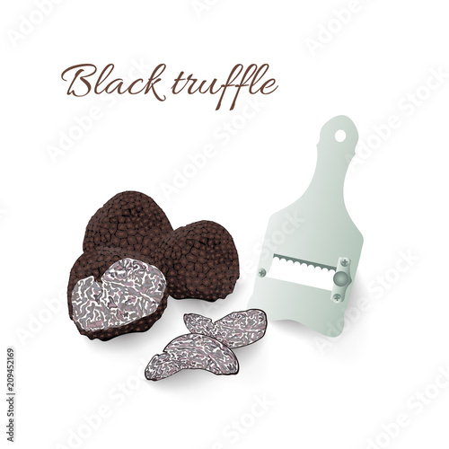 Hand drawn vector illustration of black truffles mushrooms, tuber fungus and slicer isolated on white photo