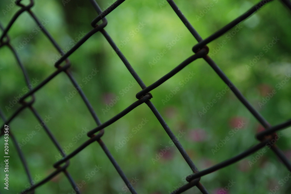 Fototapeta premium Fredoom and unfreedom 