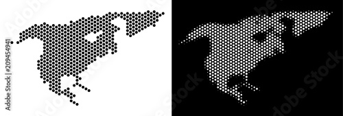 Hexagon North America map. Vector geographic plan in black and white versions. Abstract North America map mosaic is made from hexagon items.