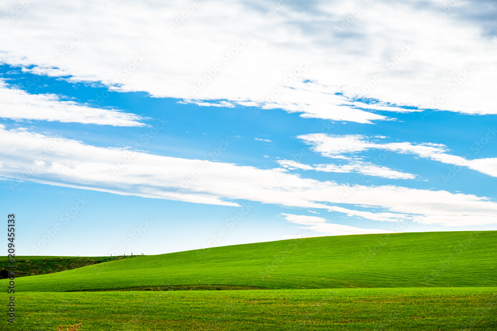 A stunning scene of green grassland and blue sky with clouds. New Zealand Agriculture.