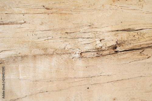 Wooden texture background