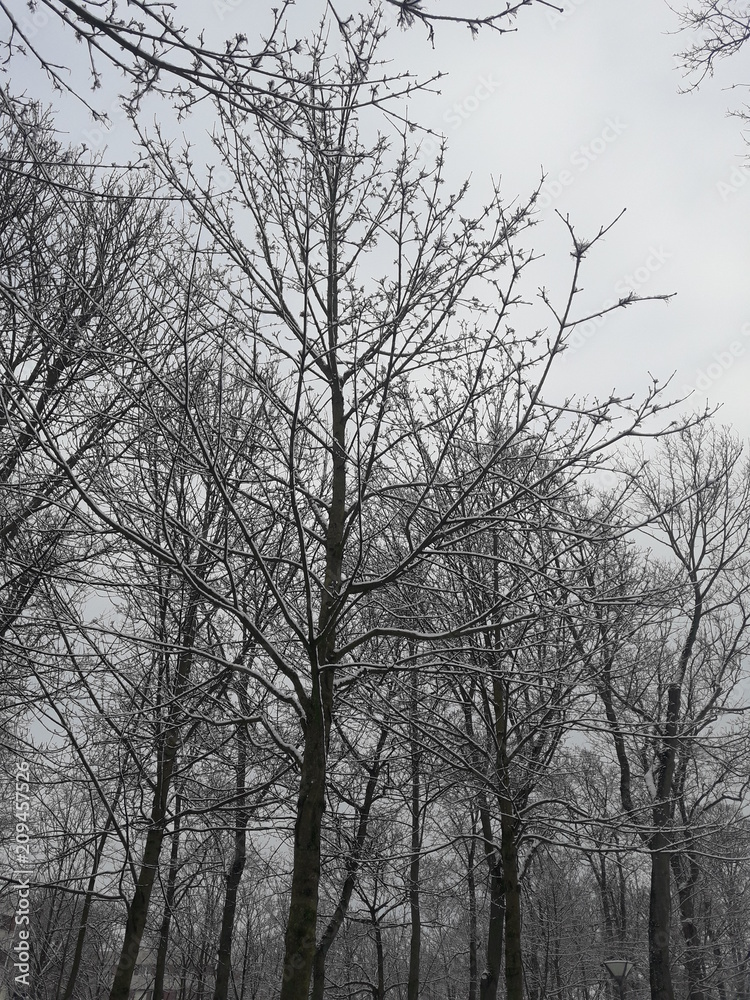 paysage enneige a reims paysage enneige a reims