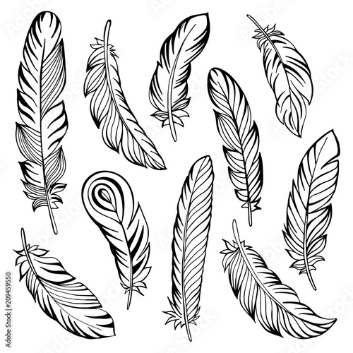 Indian feather set hand drawn. Vector illustration.