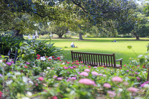 Park in the center of Sydney in Australia