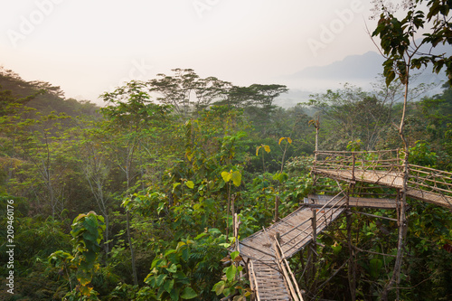 Fototapeta Naklejka Na Ścianę i Meble -  Bamboo walkway in the jungle