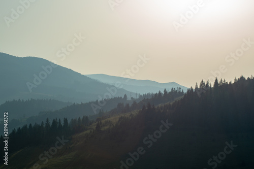 Photography panoramic view of of mountains in misty forest.