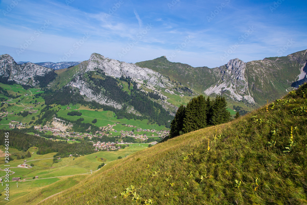 Naklejka premium Montagne