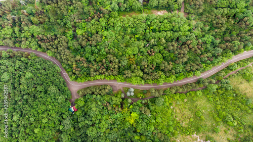 Art of Road swallow