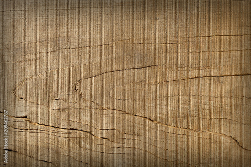 Texture of oak wood background close up.