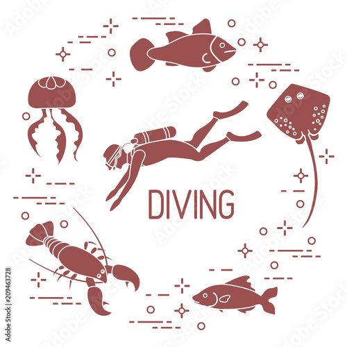 Diver, jellyfish, lobster, stingray, fish.