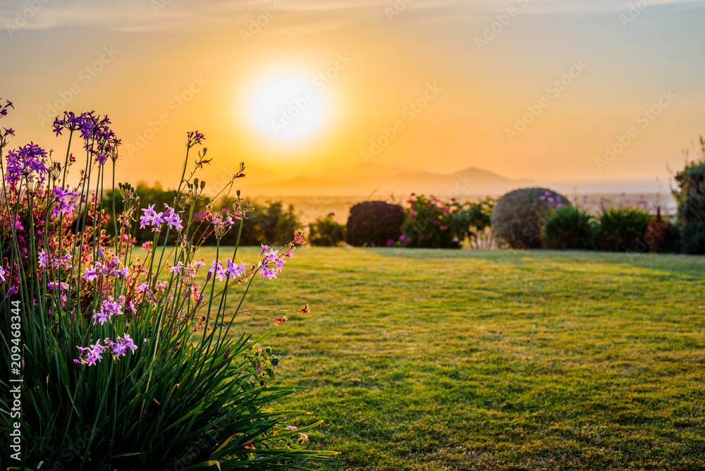 Kos Island, Town, Kalymnos, Greece - Warm sunset over the greek mediterranean sea near the turkish coast, viewed from the mountains of the island in a picturesque garden with many wildflowers
