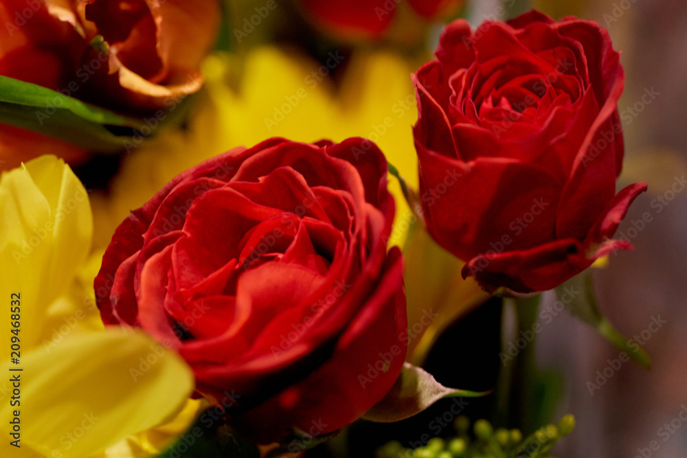 Fototapeta premium Roses