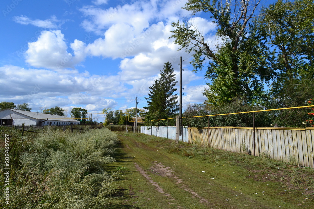 Fototapeta premium grass road