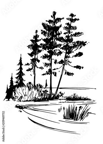 Wild natural landscape