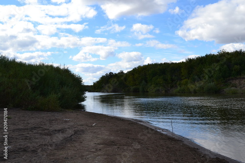 river and forest