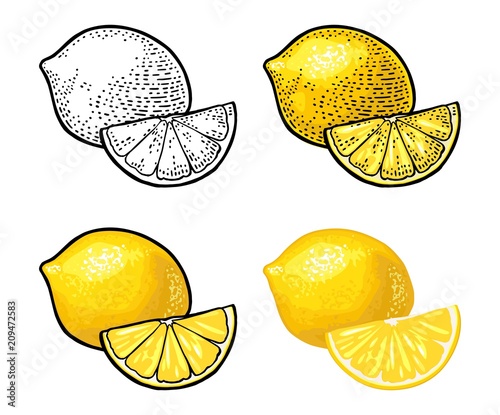 Lemon Slice and whole. Vector color vintage engraving and flat