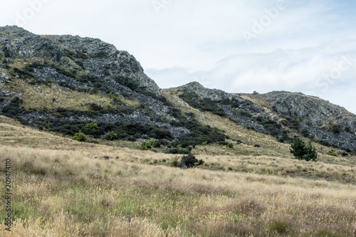 New Zealand Landscape