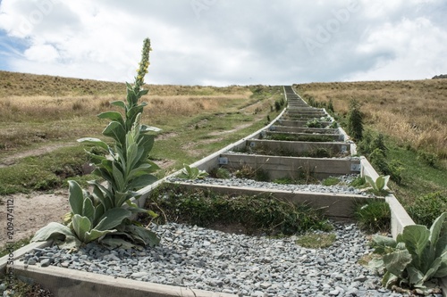 New Zealand Landscape