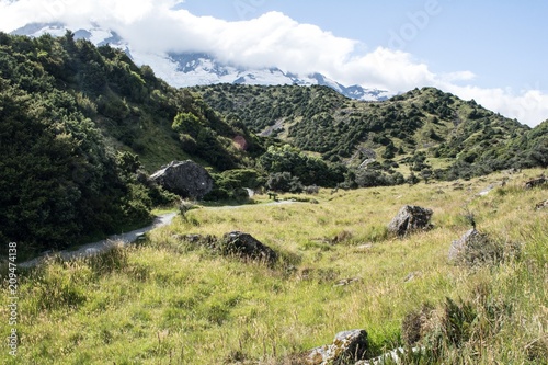New Zealand Landscape