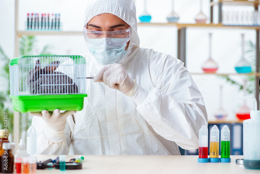 Scientist doing testing on animals rabbit Scientist doing testing on animals rabbit