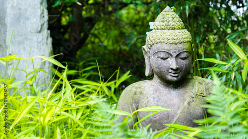 Oveergrown Buddha statue in an green garden