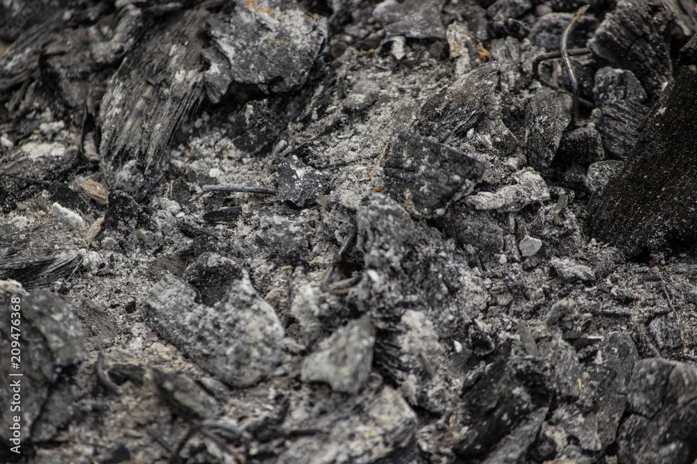 Fototapeta premium coal