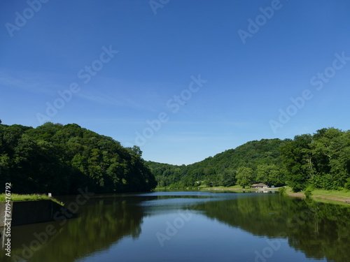 Lake, Swimming Area with Concession Stand and Hawk flying overhead