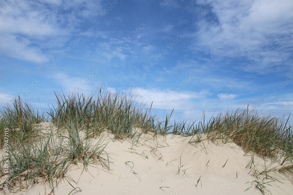 Dünenlandschaft