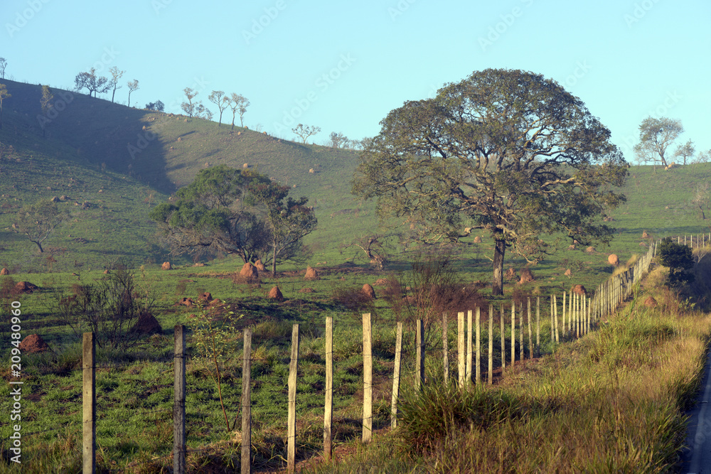 Landscape with road and fence