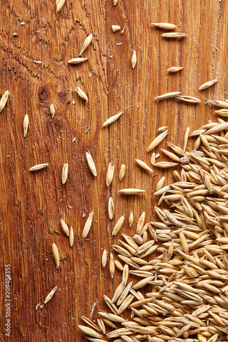 Pile of unpeeled oat grains on homespun tablecloth background, top view, close-up, macro, selective focus.