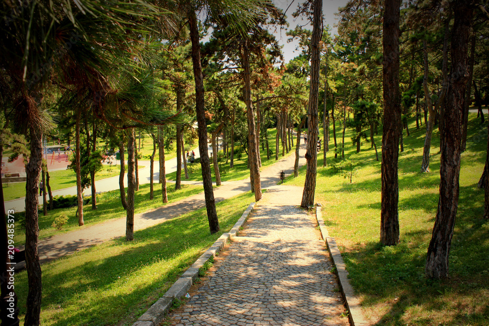 Obraz premium garden