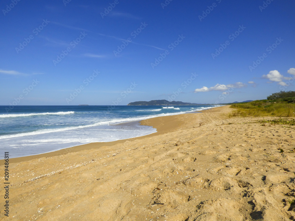 View of the beautiful Mocambique beach on a sunny day - Florianopolis, Brazil