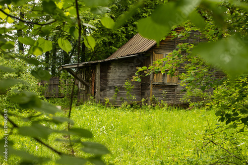 abandoned house in a dense forest