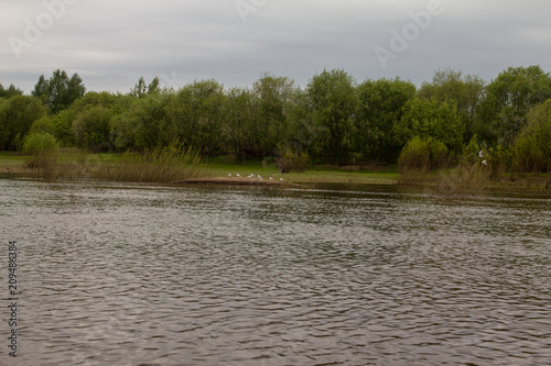 overgrown banks of the Vyatka River