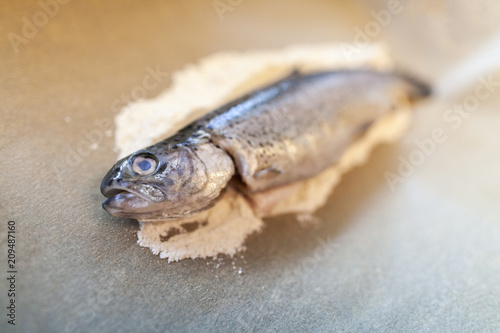 Fresh fish lies on a baking paper in a kitchen