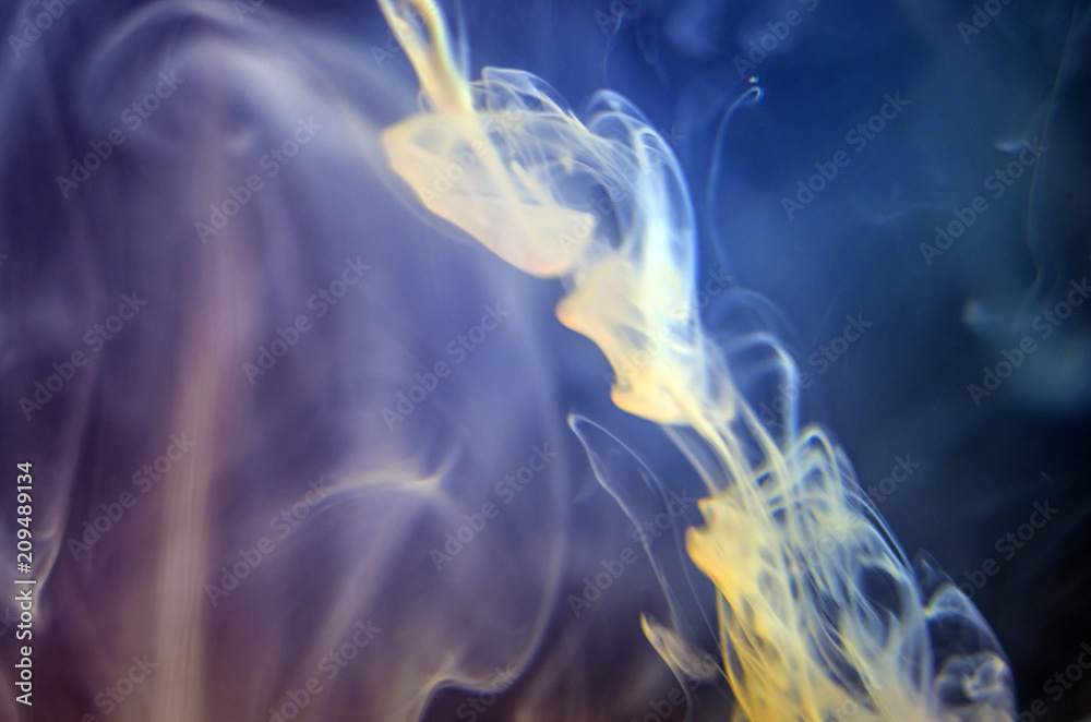 Fototapeta premium the chemical reaction of the paint with water