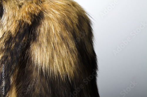 Fur texture. Raccoon dog fur.