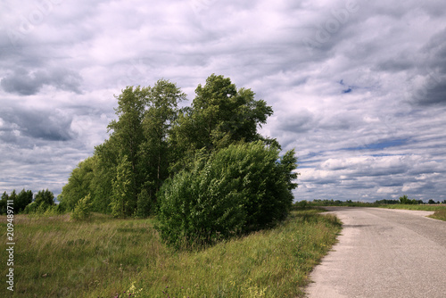 Rural landscape. Forest, road.