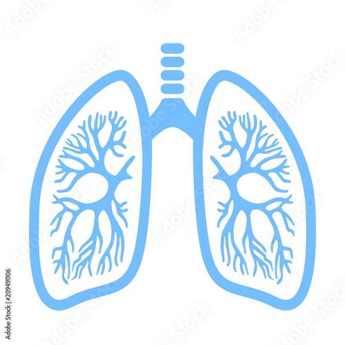 Lungs vector icon
