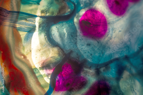 colorful abstract macro