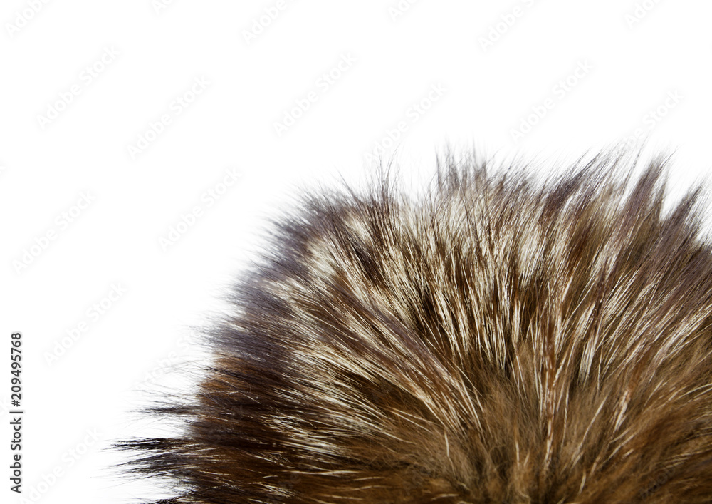 Fur texture. Silver fox fur. Fur texture. Silver fox fur.