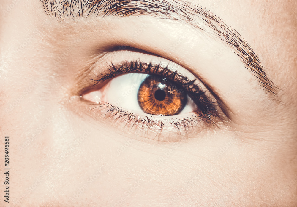 Fototapeta premium A beautiful insightful look eye. Close up shot.
