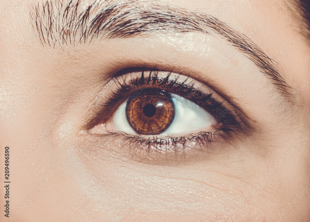 Fototapeta premium A beautiful insightful look eye. Close up shot.