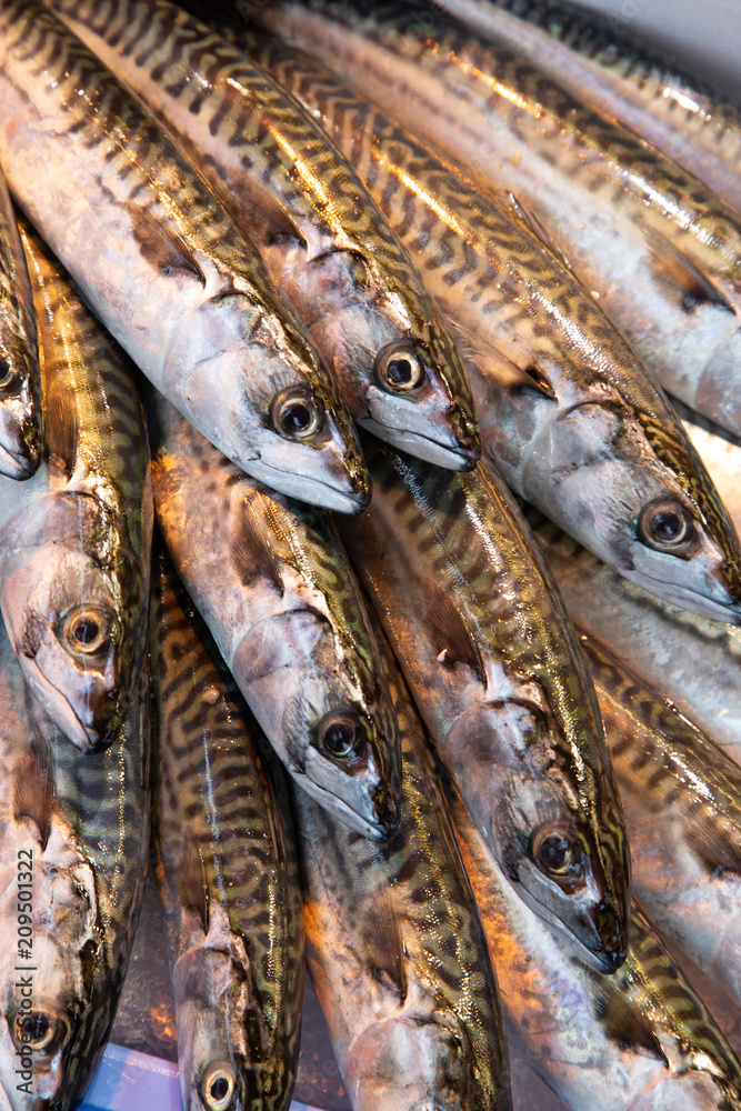 Obraz premium Fresh fish for sale at a market in Deauville, Normandy