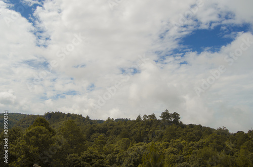 Mountain forest and sky with clouds