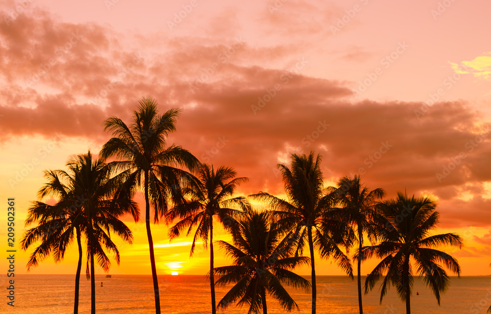 Tropical beach sunset background. 