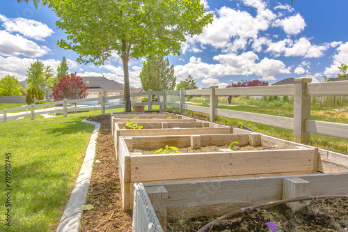 Contructed backyard grow beds with blue skies photo