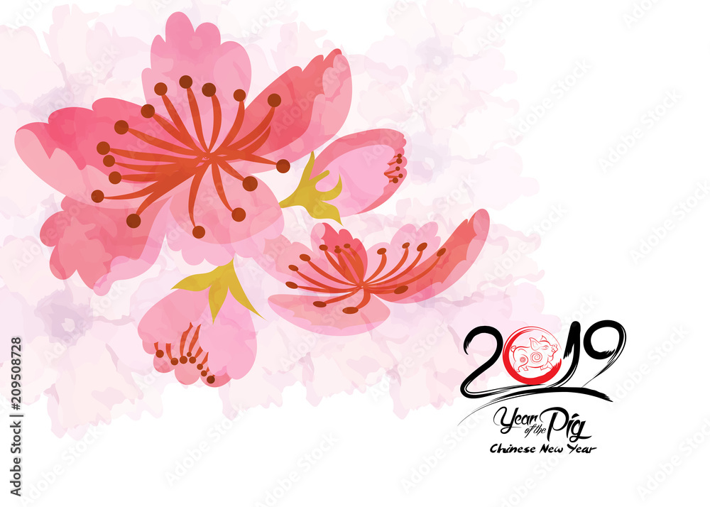 Beautiful cherry blossom background design. Year of the pig Beautiful cherry blossom background design. Year of the pig