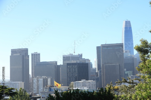 View of Financial District from Telegraph Hill in San Francisco